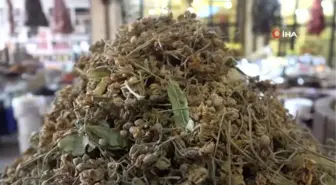 Kış aylarının vazgeçilmezi ıhlamura talep arttı