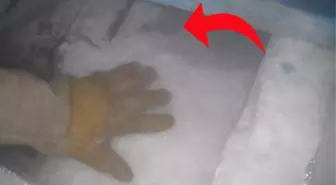 230 kişinin bedenini dondurdular: Ölümsüzlük o odanın içerisinde saklı