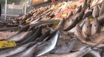 Palamudun fiyatı düştü vatandaşlar soluğu tezgahlarda aldı