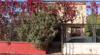 Manisa gündem haberi... Turgutlu'daki spor okulundan idman malzemeleri çalındı