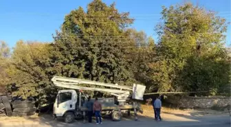 Son Dakika | Ceviz toplarken elektrik akımına kapıldı, hayatını kaybetti