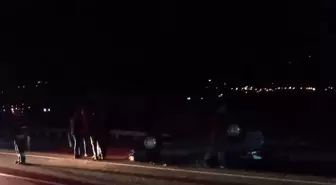 Son dakika haberi: Yola çıkan domuz sürüsü kazaya neden oldu
