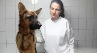 Antalya haber | Antalya'da çalınan köpek, çipi sayesinde sahibine teslim edildi