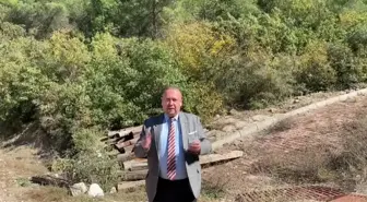 Murat Dağı'nda Altın İçin 2 Bin Değil 190 Bin Ağaç Kesilmesi Gündeme Geldi. Özkan Yalım: Tüm Vatandaşlarımız ile Bunun Karşısında Duracağız