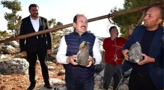 Vali Pehlivan, 'obruk peyniri' çıkarma etkinliğine katıldı