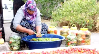 Erzincan yerel haberleri: Erzincan'da kadınların turşu mesaisi