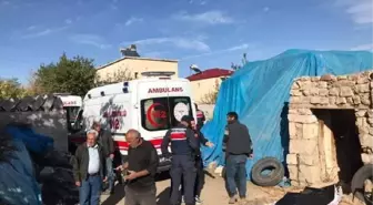 Son dakika haberi: Niğde'de ahır çöktü: 1 ölü, 1 yaralı