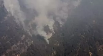 Osmaniye gündem haberi: Osmaniye'deki orman yangını, 4'üncü günde kontrol altında