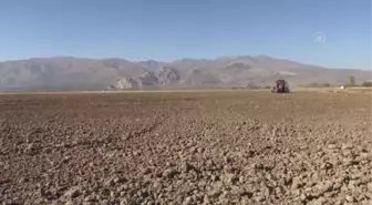 Erzincan Belediyesi ektiği hububatın geliri ile ihtiyaç sahiplerine destek olacak