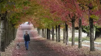 Kanada'nın Vancouver Kentinden Sonbahar Manzarası