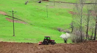 Ordu'da 18 bin dönüm atıl arazi üretime kazandırıldı
