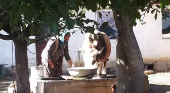 Son dakika haberleri | Tek geçim kaynaklarını yangında kaybetmişlerdi: O aileye kaymakamlık inek hediye etti