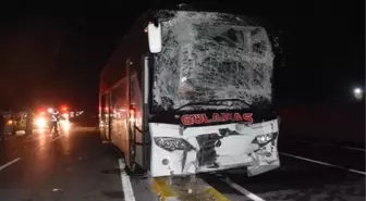 Yola çıkan at faciaya neden oluyordu! Yaşanan kazada 15 kişi yaralandı