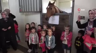 Daha önce hiç at görmemişlerdi... Şimdi sınav stresini ata binerek atıyorlar