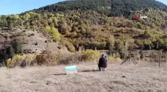 Eserlerini doğada yapıyor