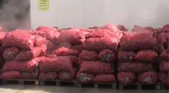 Kadınların işlediği deniz salyangozu Uzak Doğu'ya ihraç ediliyor