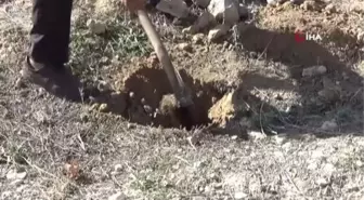 Şehit kabirlerinin başına Türk bayrağı dikti, Bartın'daki maden şehitlerini de unutmadı