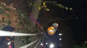 Kestane toplarken uçuruma yuvarlanıp yaralandı