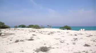 İran'ın turistik adası Kiş