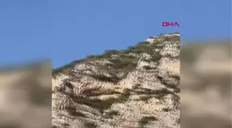 KAYALIKLARA DÜŞEN 2 PARAŞÜTÇÜ JANDARMA HELİKOPTERİYLE KURTARILDI