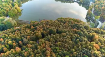 Kurugöl Tabiat Parkı, sonbaharda ziyaretçilerine eşsiz manzaralar sunuyor
