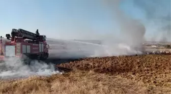 Yanan arı kovanlarını söndürmek isterken yaralandı