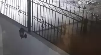 ADANA'DA MOTOSİKLET HIRSIZLIĞI KAMERADA