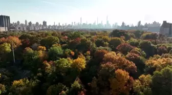 Central Park'ta sonbahar renkleri