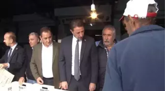 Güney Marmara zeytininde hasat zamanı