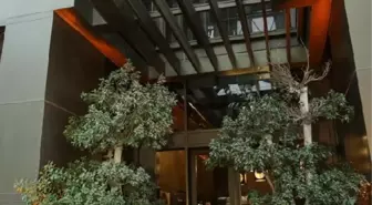 Kadınların hikayeleri portrelerle Root Karaköy'de sergileniyor