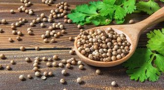 Kişniş Otu nerede bulunur? Kişniş Otu faydaları ve zararları nelerdir?
