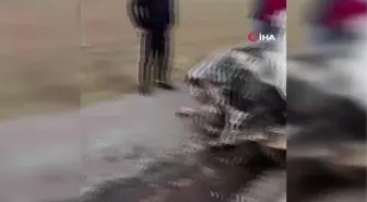 Önce pusu kurdular, sonra silahla taradılar