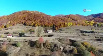 Sonbaharla gelen güzellik, görenleri mest etti