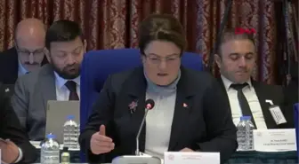 BAKAN YANIK, TBMM PLAN VE BÜTÇE KOMİSYONU'NDA SUNUM YAPTI