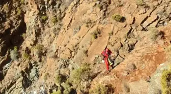 Fethiye'de kayalık alanda mahsur kalan 2 keçi kurtarıldı