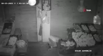 Levyeli hırsız esnafları canından bezdirdi... Hırsızlık anları kamerada