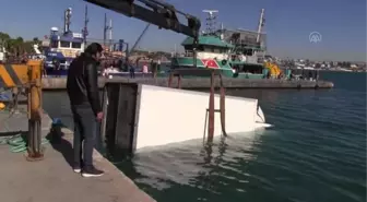 Sürücüsü fenalaşan kamyonet, denize düştü