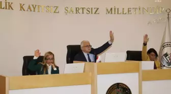 Burhaniye'de Artık İmarlı Arsaya İnşaat Yaparken Zeytinler Kesilemeyecek
