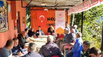 Kdz. Ereğli'de fındıkta verimi artırma eğitimleri başladı
