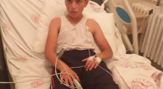 Köpek ısıran 2 çocuktan birine kuduz teşhisi