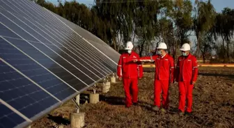 Çin'in Kuzeydoğusundaki Petrol Sahası Yeşil Geçiş Yolunda