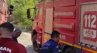 Hatay'da orman yangını