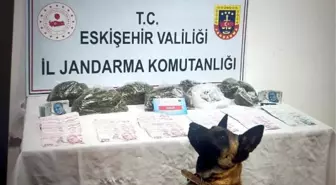 Kaplıcada odadaki esrarı 'Akça' buldu