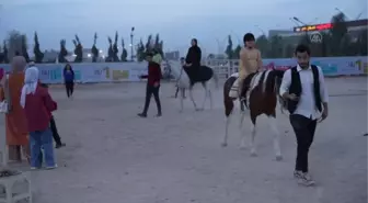SÜLEYMANİYE - İki yıl önce açılan binicilik kulübü bu spora ilgiyi artırdı