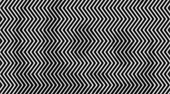 Fotoğraftaki gizli resmi görüyor musunuz? Görenlerin IQ seviyesi çok ama çok yüksek