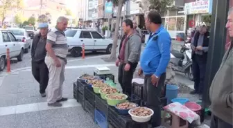 Sezonun ilk melkileri Sındırgı'dan