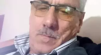 Üzerine ağaç düşen orman işçisi hayatını kaybetti