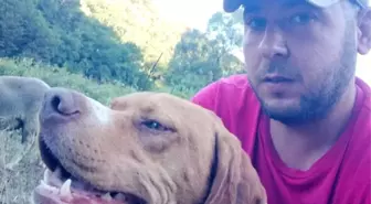 20 bin liralık köpeğini çaldılar bulana kuzu hediye edecek