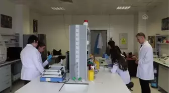 Bilim insanları kanserle mücadelede tedavi yöntemleri üzerinde çalışıyor