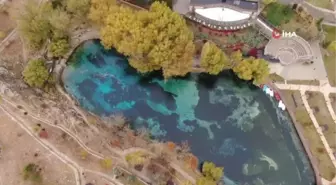 Bozkırın Nazar boncuğu sonbaharda göz kamaştırıyor